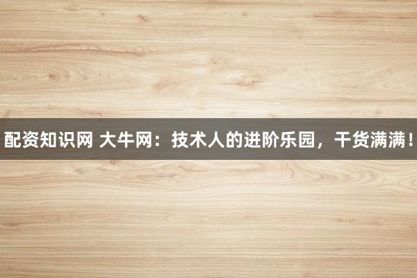配资知识网 大牛网：技术人的进阶乐园，干货满满！