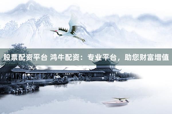 股票配资平台 鸿牛配资：专业平台，助您财富增值