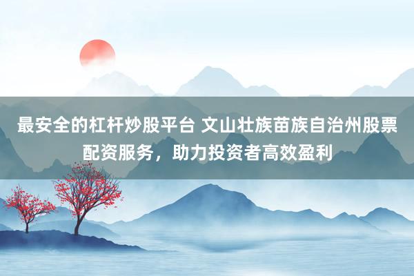 最安全的杠杆炒股平台 文山壮族苗族自治州股票配资服务，助力投资者高效盈利