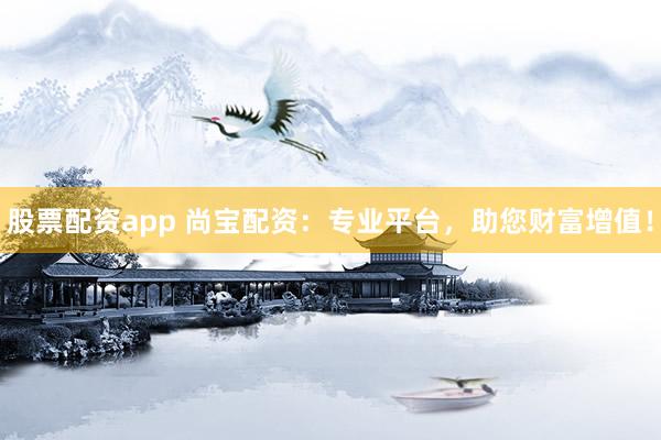 股票配资app 尚宝配资：专业平台，助您财富增值！
