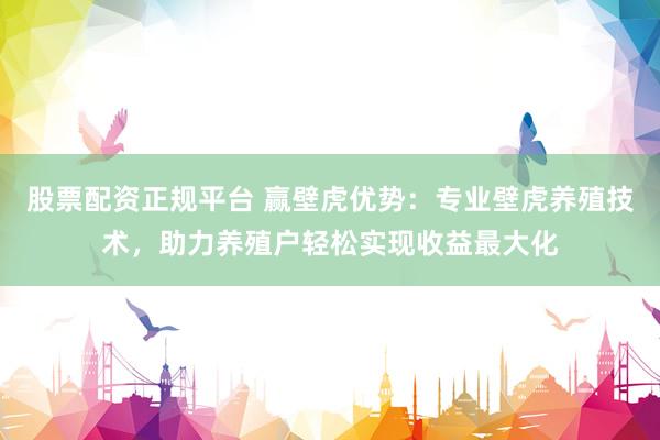 股票配资正规平台 赢壁虎优势：专业壁虎养殖技术，助力养殖户轻松实现收益最大化