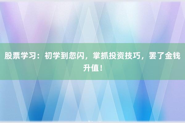 股票学习:初学到忽闪,掌抓投资技巧,罢了金钱升值!