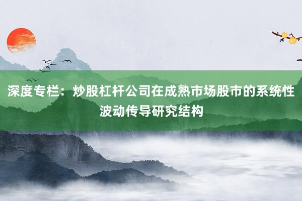 深度专栏:炒股杠杆公司在成熟市场股市的系统性波动传导研究结构