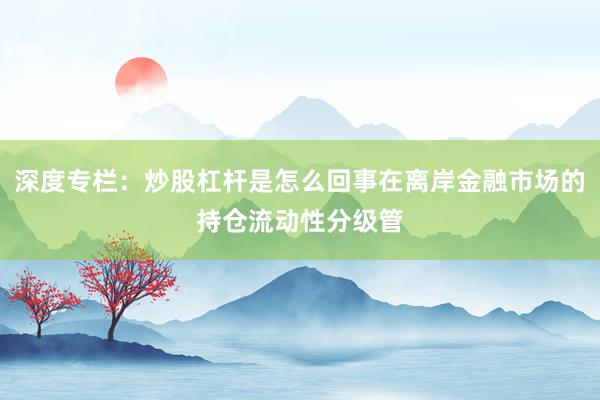 深度专栏：炒股杠杆是怎么回事在离岸金融市场的持仓流动性分级管