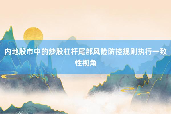 内地股市中的炒股杠杆尾部风险防控规则执行一致性视角