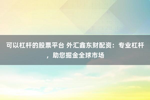 可以杠杆的股票平台 外汇鑫东财配资：专业杠杆，助您掘金全球市场