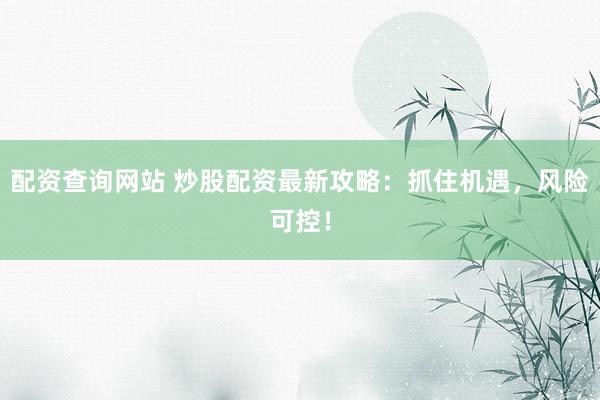 配资查询网站 炒股配资最新攻略：抓住机遇，风险可控！