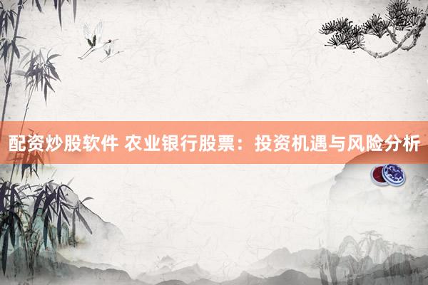 配资炒股软件 农业银行股票：投资机遇与风险分析