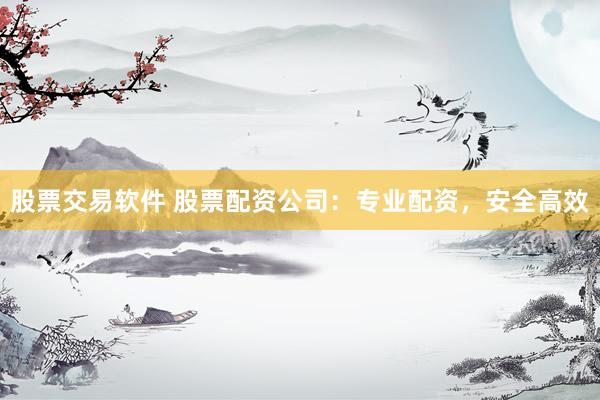 股票交易软件 股票配资公司:专业配资,安全高效