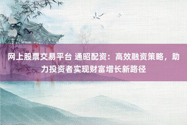 网上股票交易平台 通昭配资：高效融资策略，助力投资者实现财富增长新路径