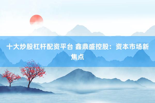 十大炒股杠杆配资平台 鑫鼎盛控股：资本市场新焦点