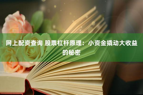 网上配资查询 股票杠杆原理：小资金撬动大收益的秘密