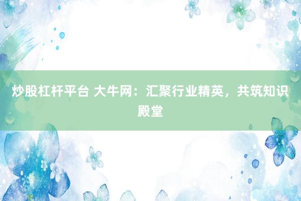 炒股杠杆平台 大牛网：汇聚行业精英，共筑知识殿堂